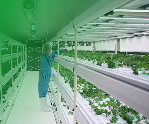 培植行业